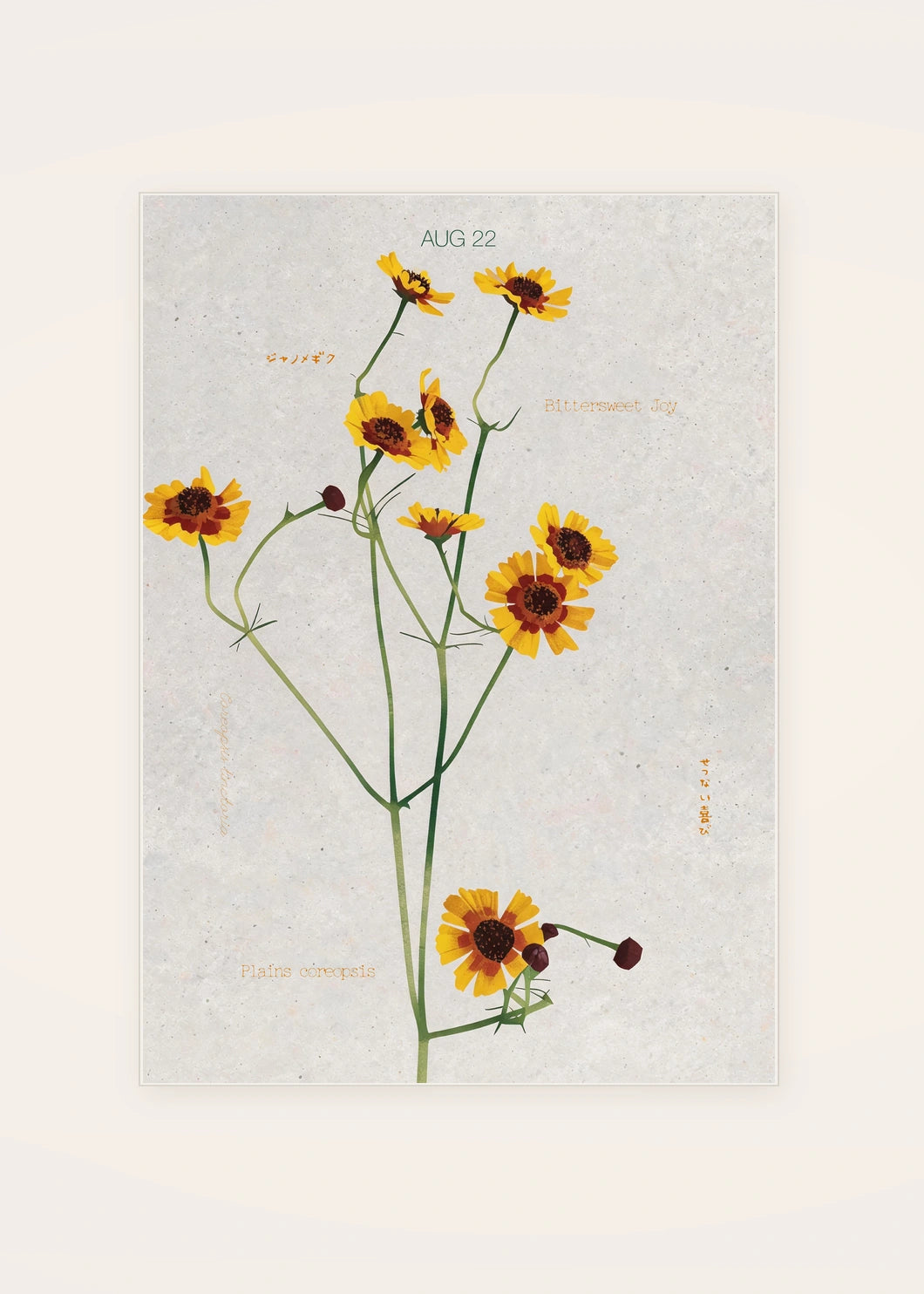 August 22 Plains Coreopsis birth flower card — clean
