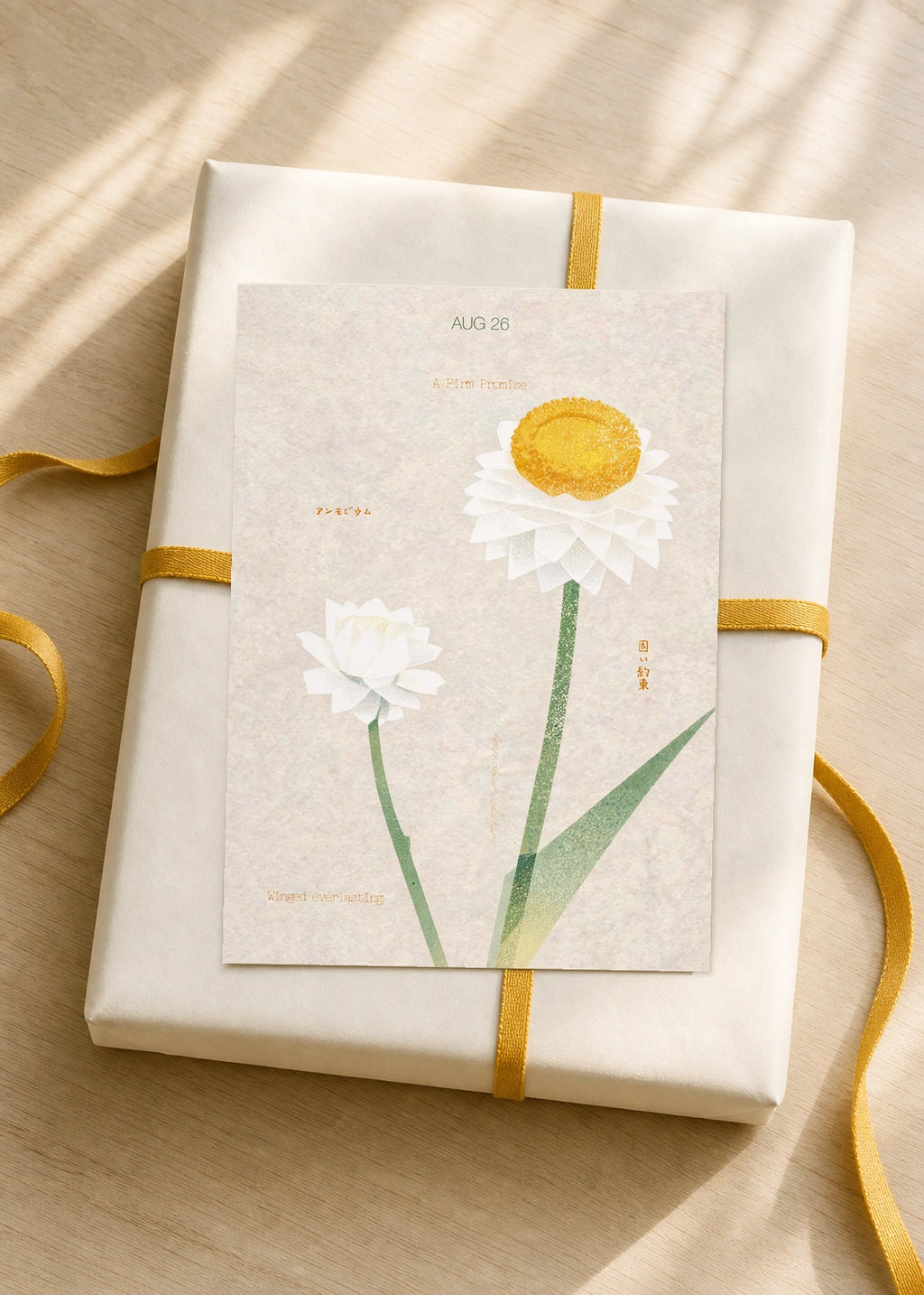 August 26 Winged Everlasting birth flower card — gift