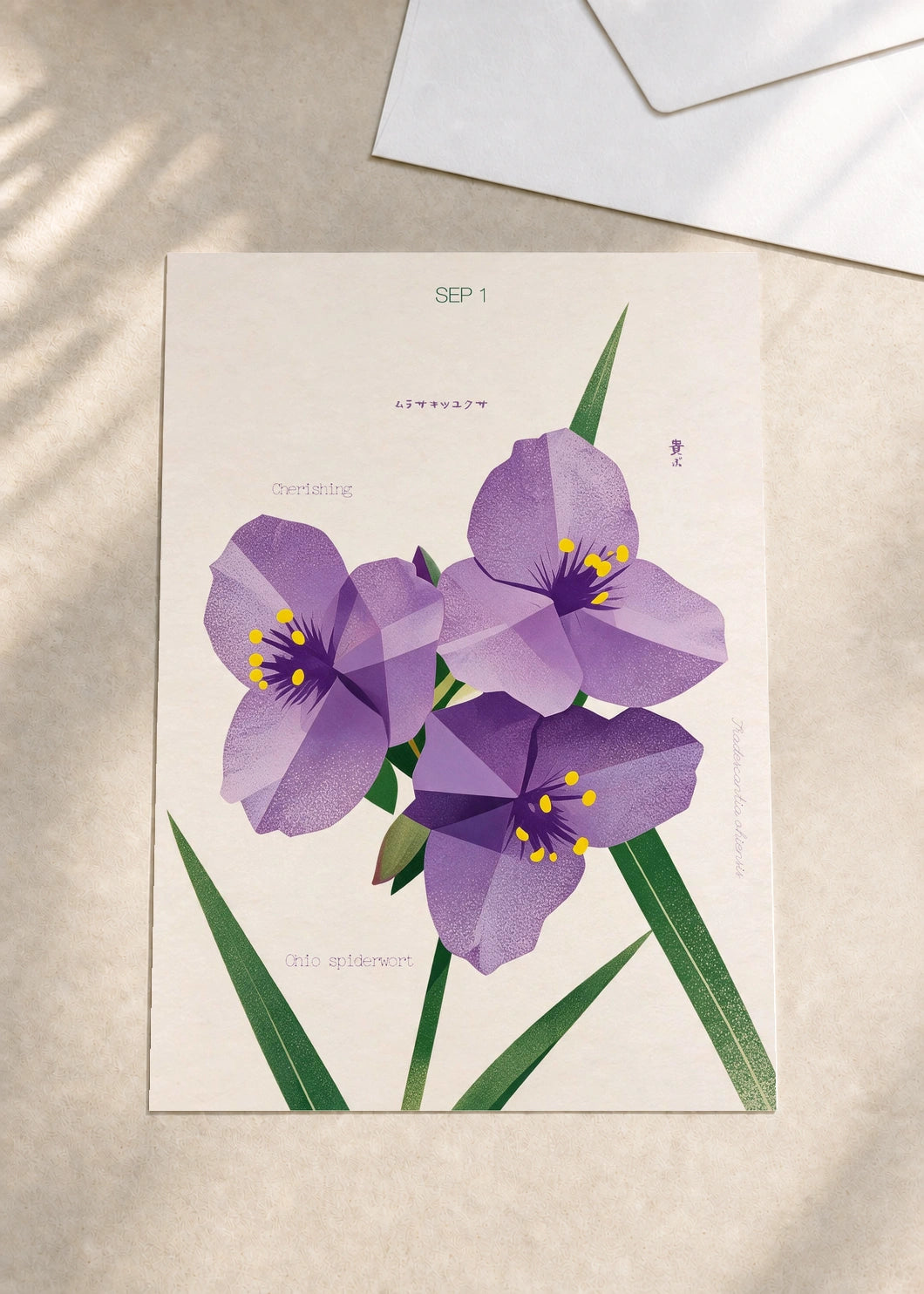 September 1 Ohio Spiderwort birth flower card — envelope
