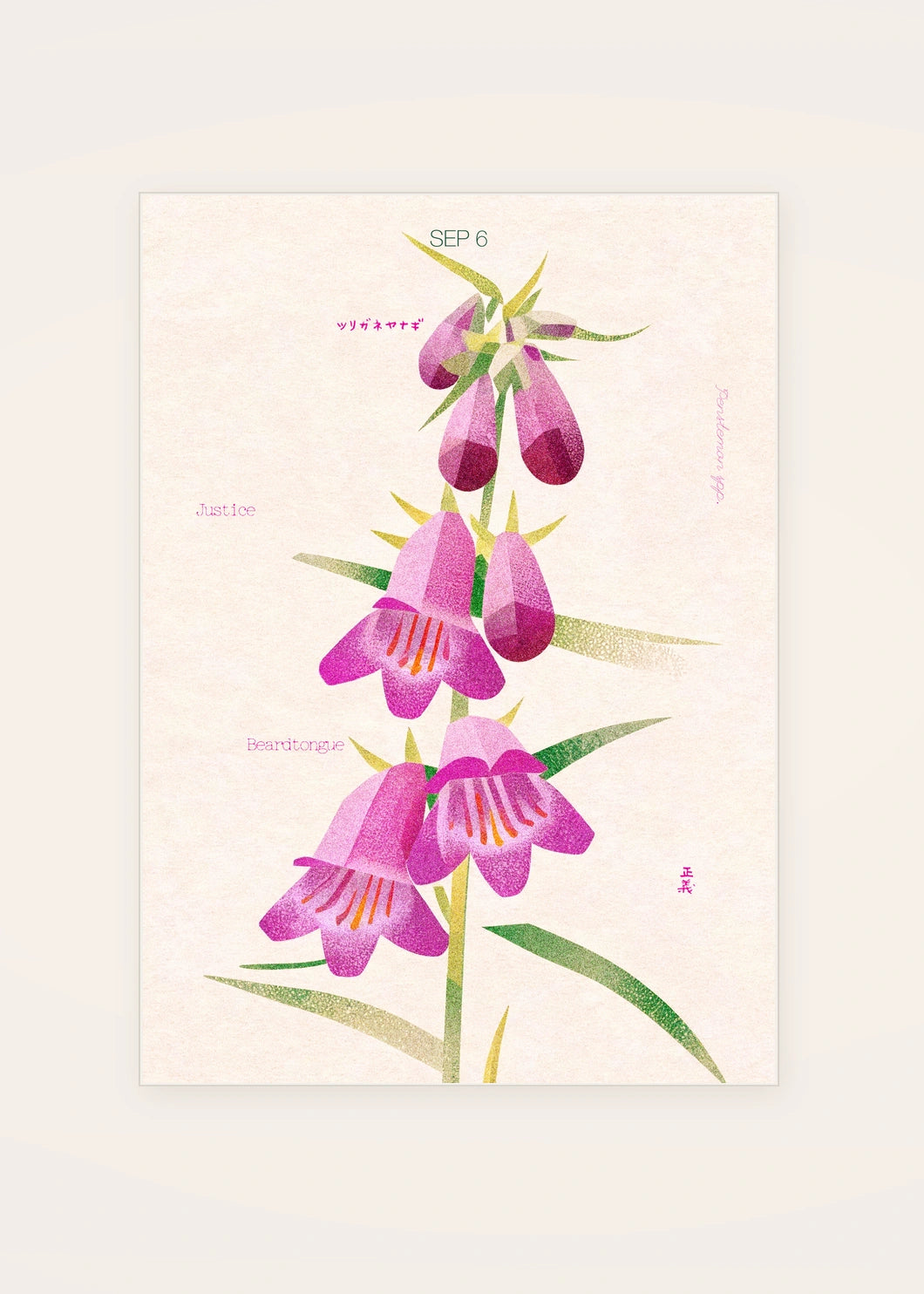 September 6 Beardtongue birth flower card — clean