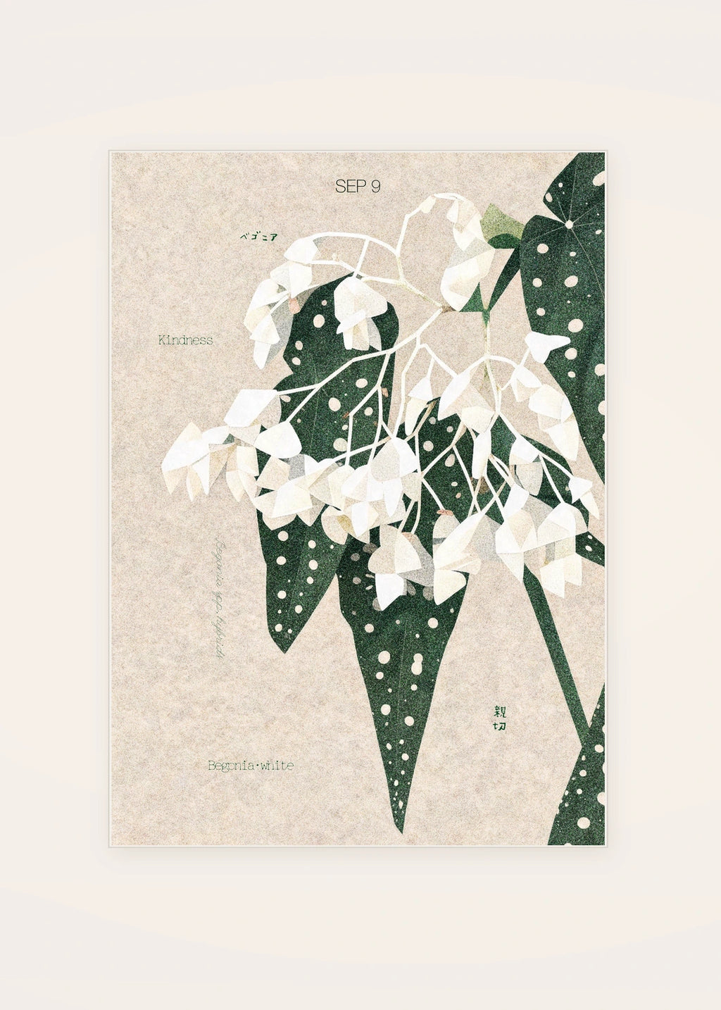 September 9 Begonia (White) birth flower card — clean