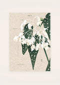 September 9 Begonia (White) birth flower card — clean
