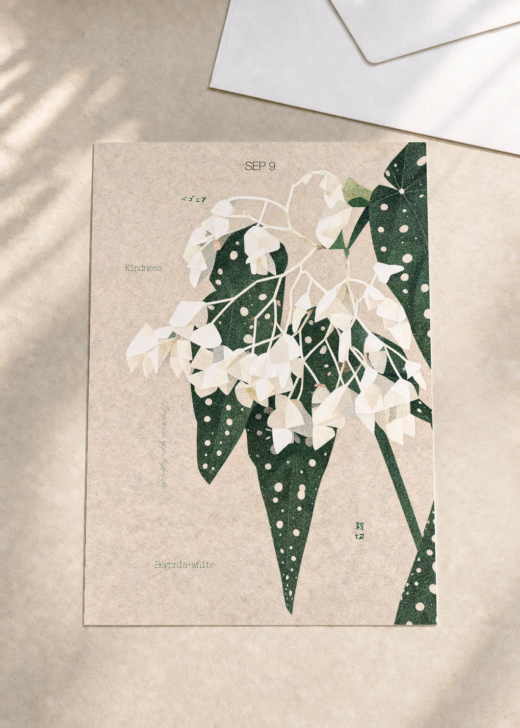 September 9 Begonia (White) birth flower card — envelope