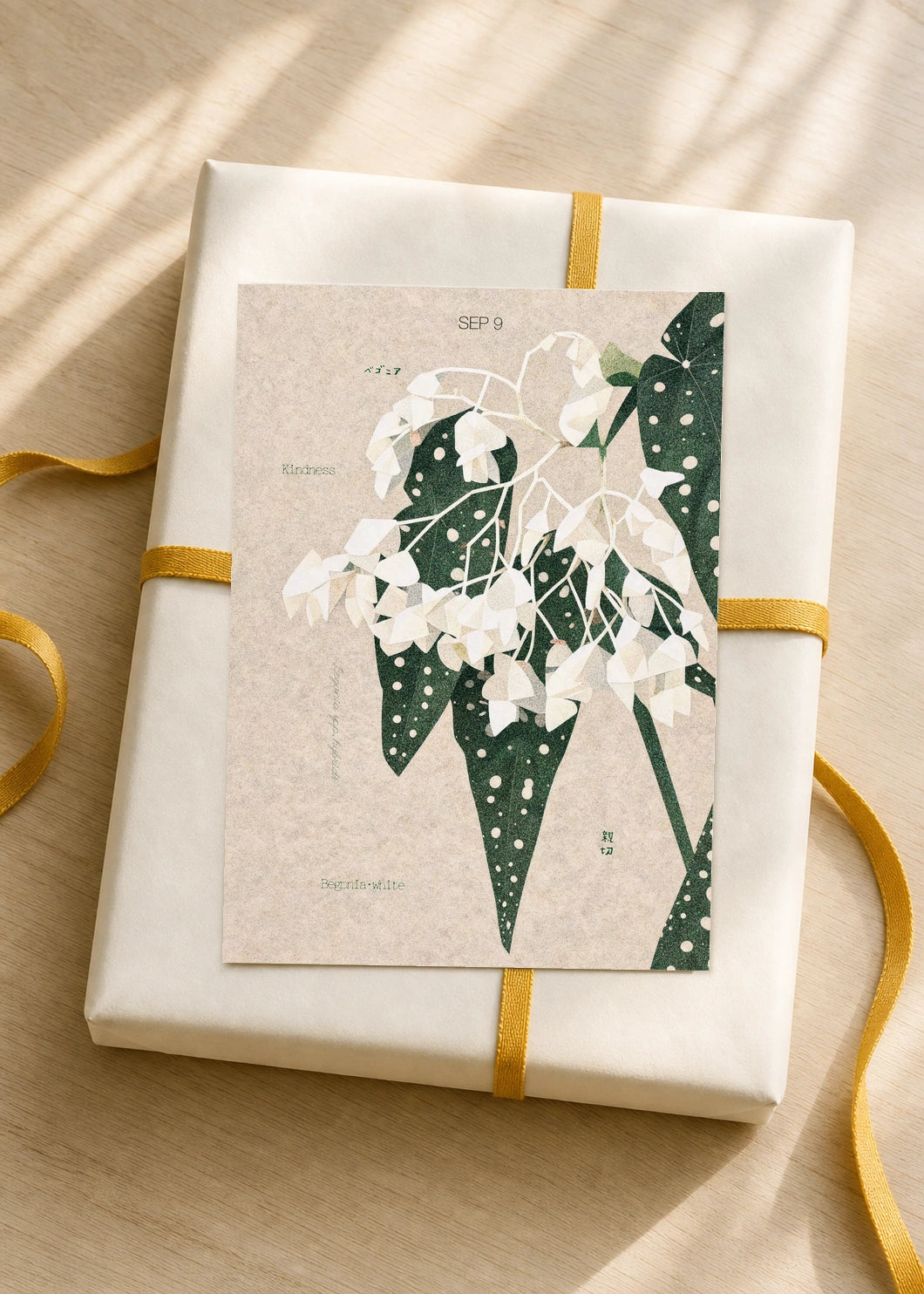 September 9 Begonia (White) birth flower card — gift