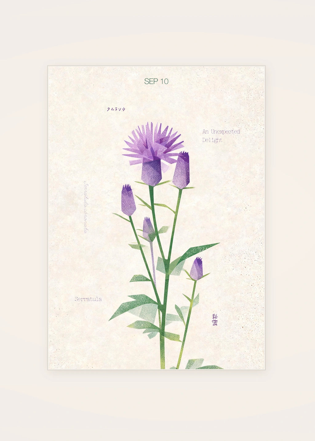 September 10 Serratula birth flower card — clean