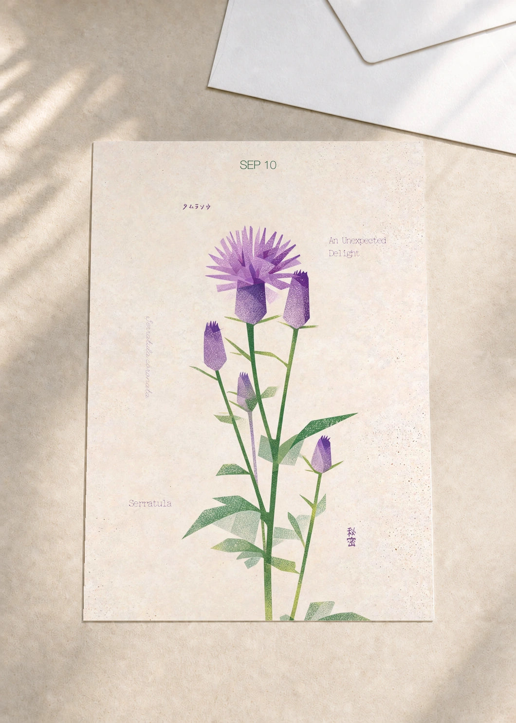 September 10 Serratula birth flower card — envelope