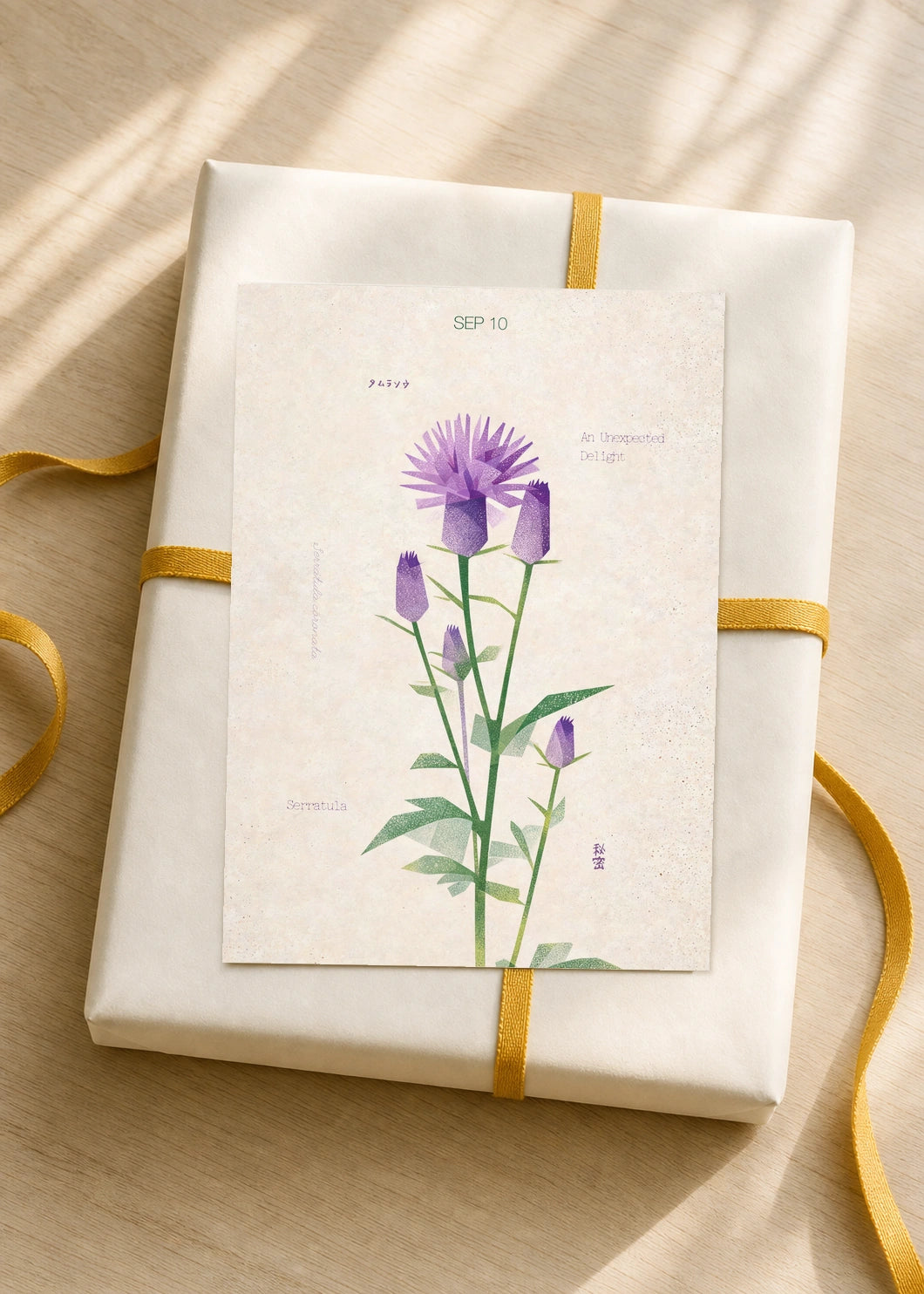September 10 Serratula birth flower card — gift