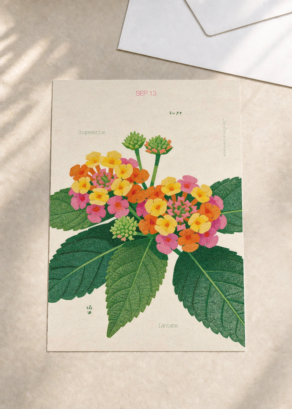 September 13 Lantana birth flower card — envelope