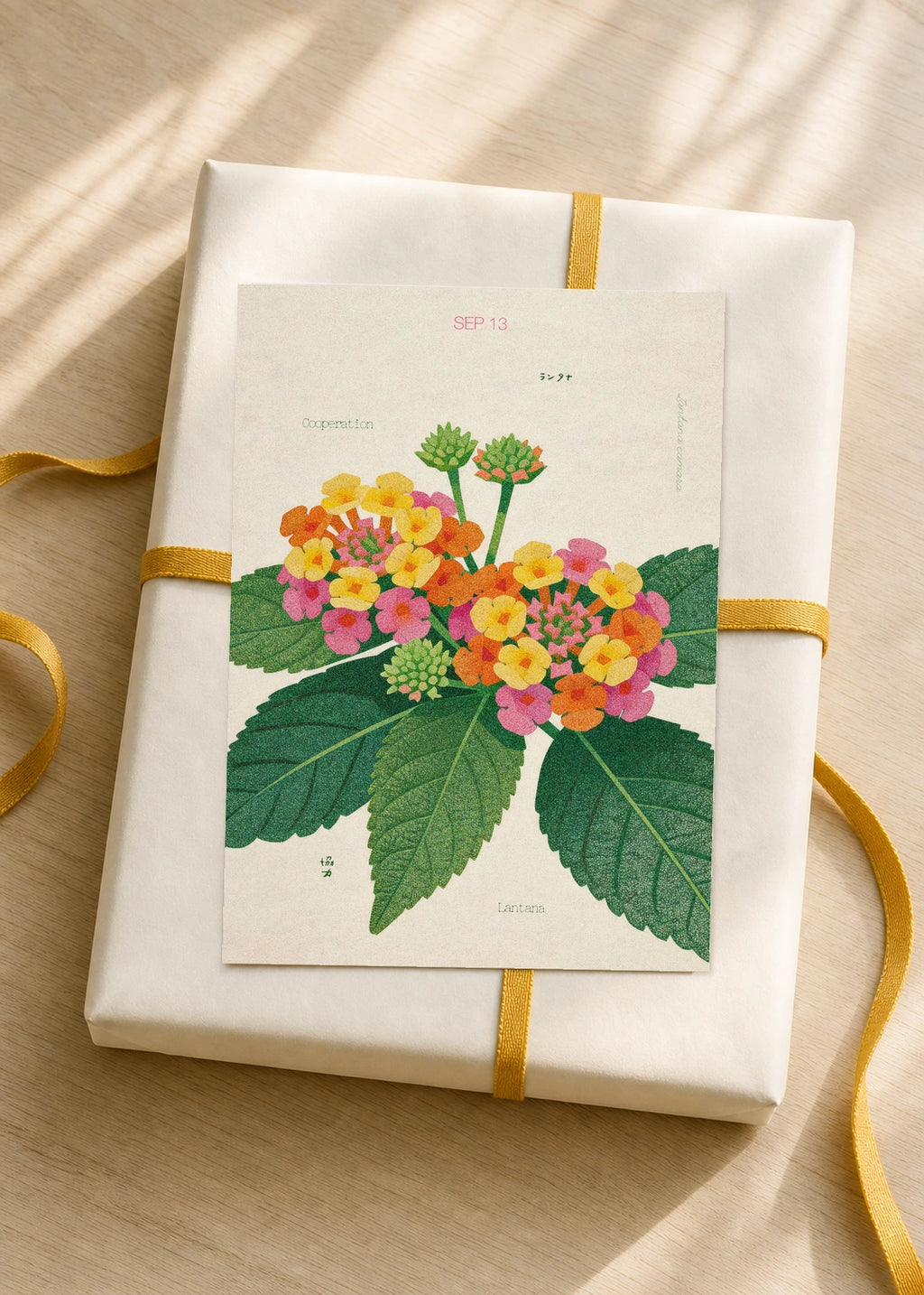 September 13 Lantana birth flower card — gift