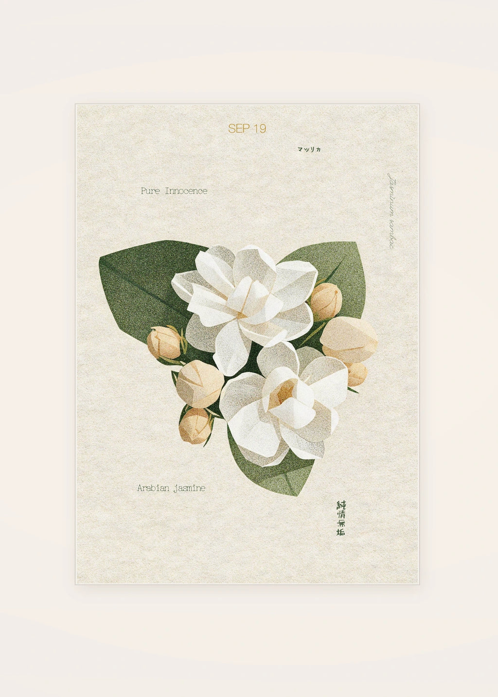 September 19 Arabian Jasmine birth flower card — clean