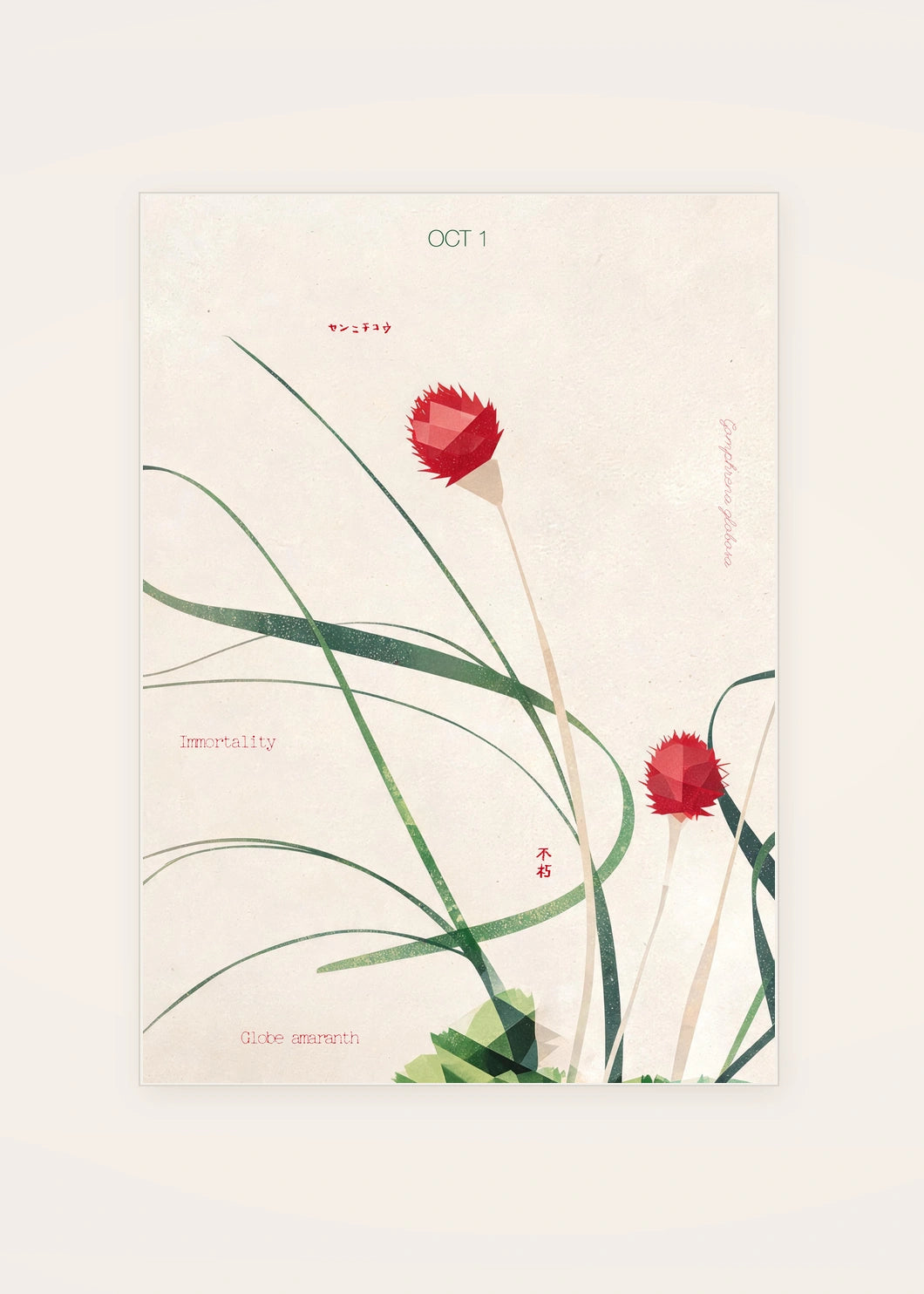 October 1 Globe Amaranth birth flower card — clean