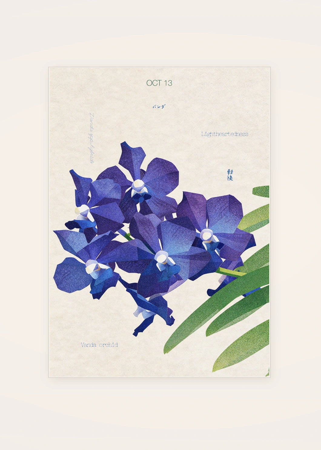 October 13 Vanda Orchid birth flower card — clean
