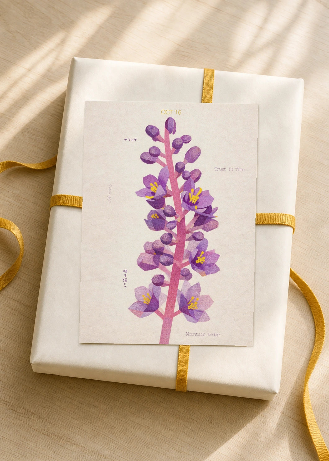 October 16 Mountain Sedge birth flower card — gift