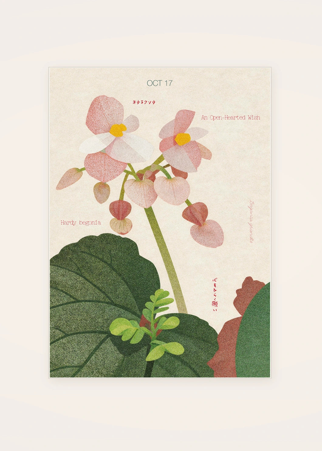 October 17 Hardy Begonia birth flower card — clean