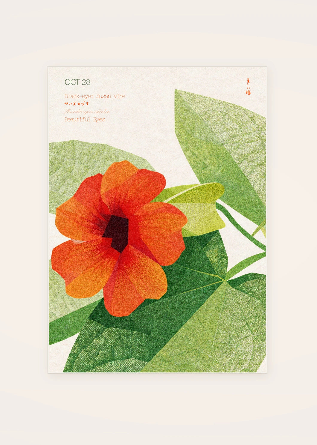 October 28 Black-Eyed Susan Vine birth flower card — clean