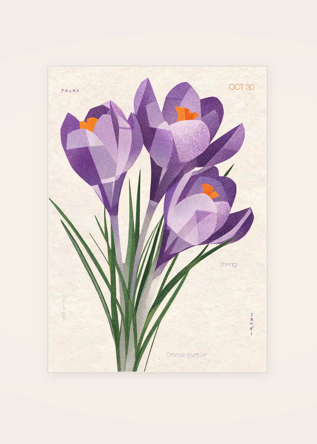 October 30 Crocus (Purple) birth flower card — clean