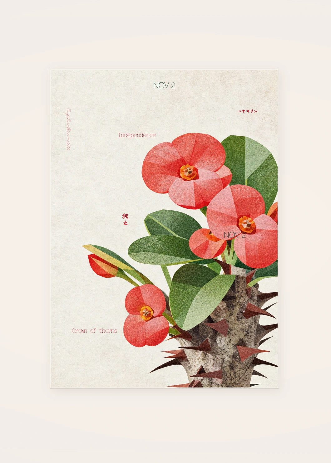 November 2 Crown of Thorns birth flower card — clean