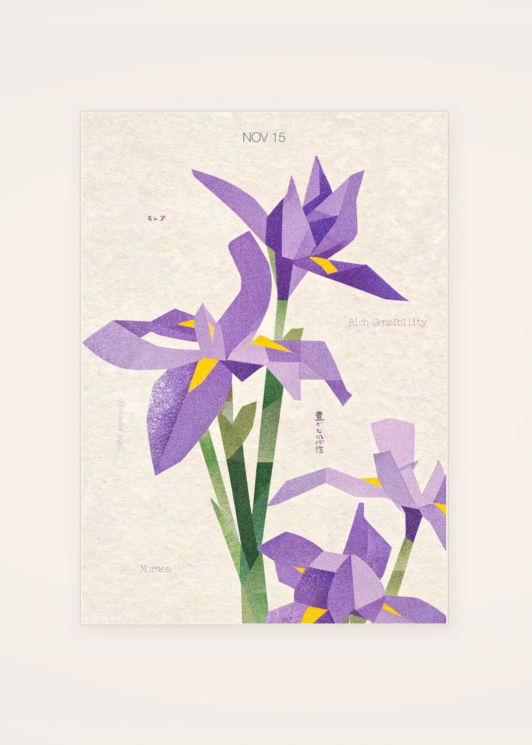 November 15 Moraea birth flower card — clean