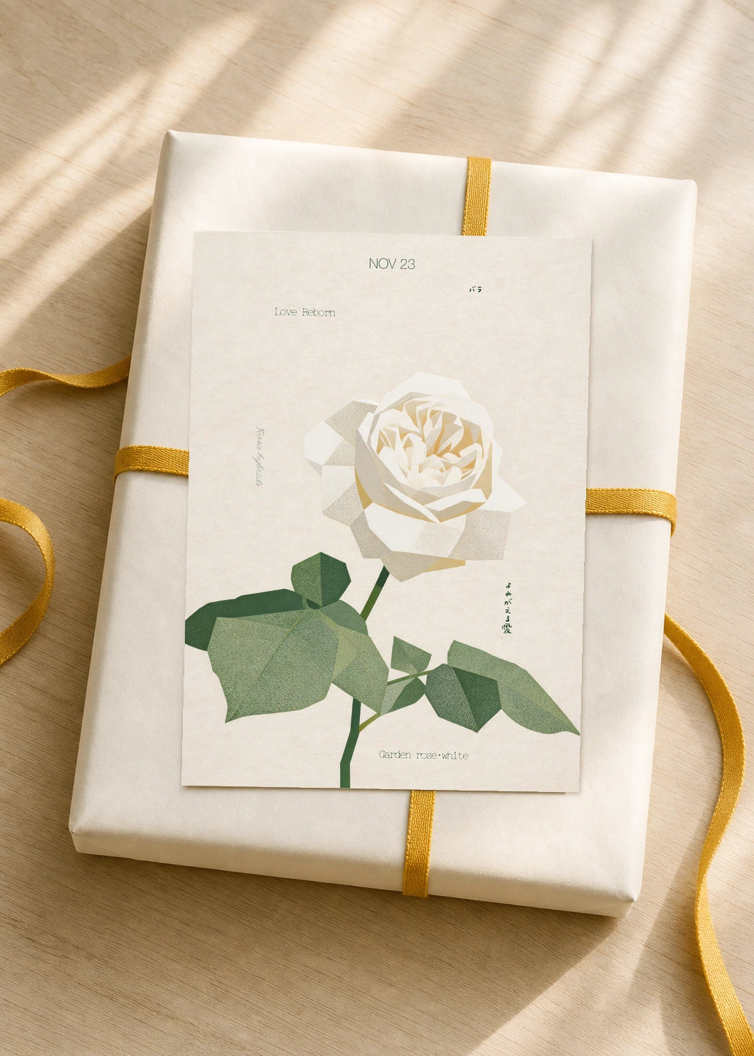 November 23 Garden Rose (White) birth flower card — gift