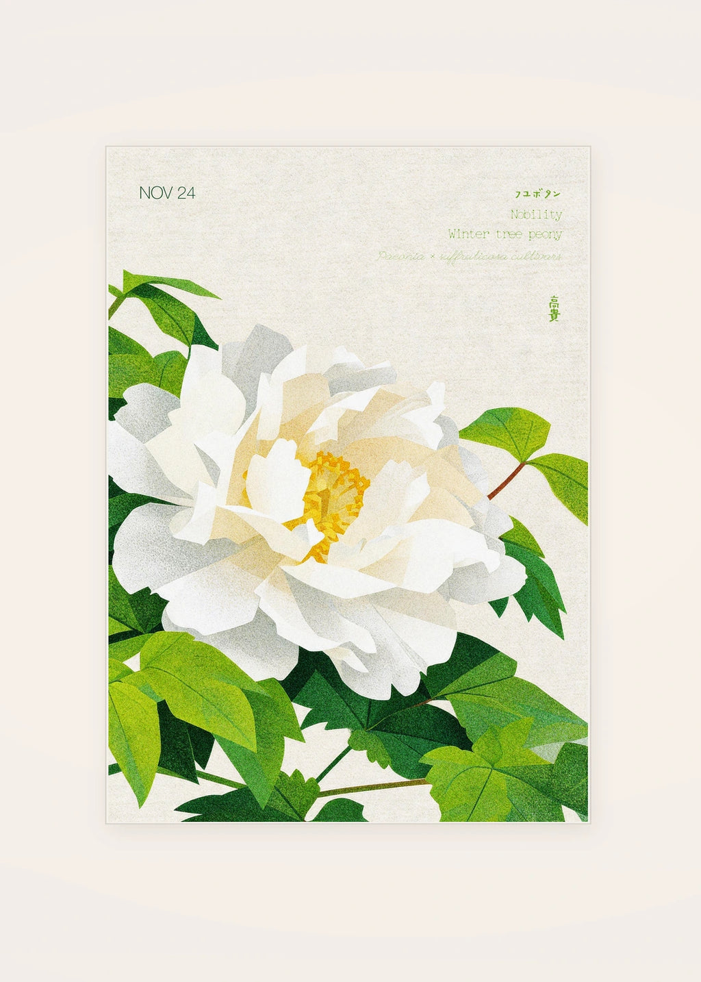 November 24 Winter Tree Peony birth flower card — clean