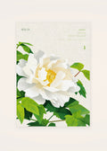 November 24 Winter Tree Peony birth flower card — clean