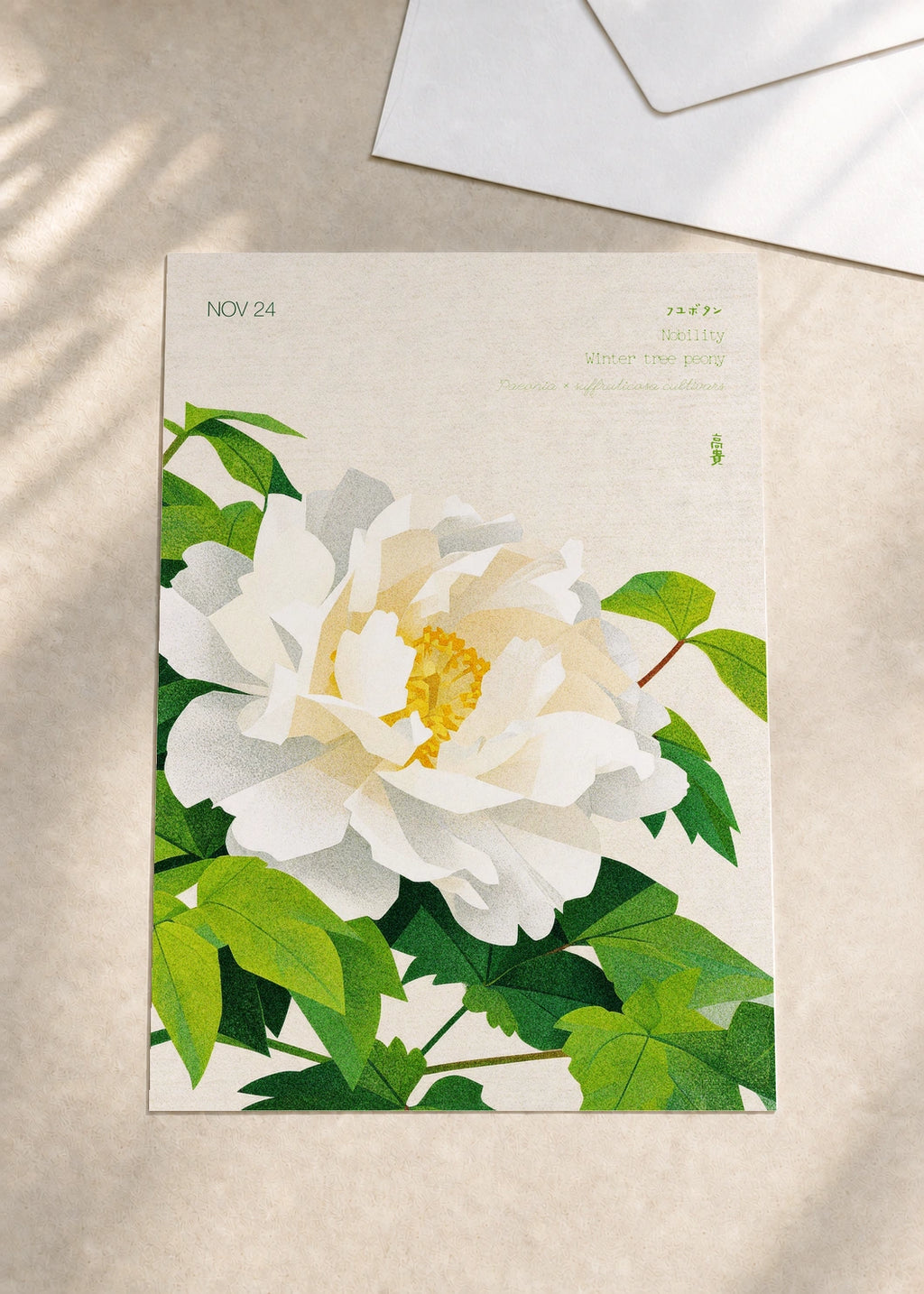November 24 Winter Tree Peony birth flower card — envelope