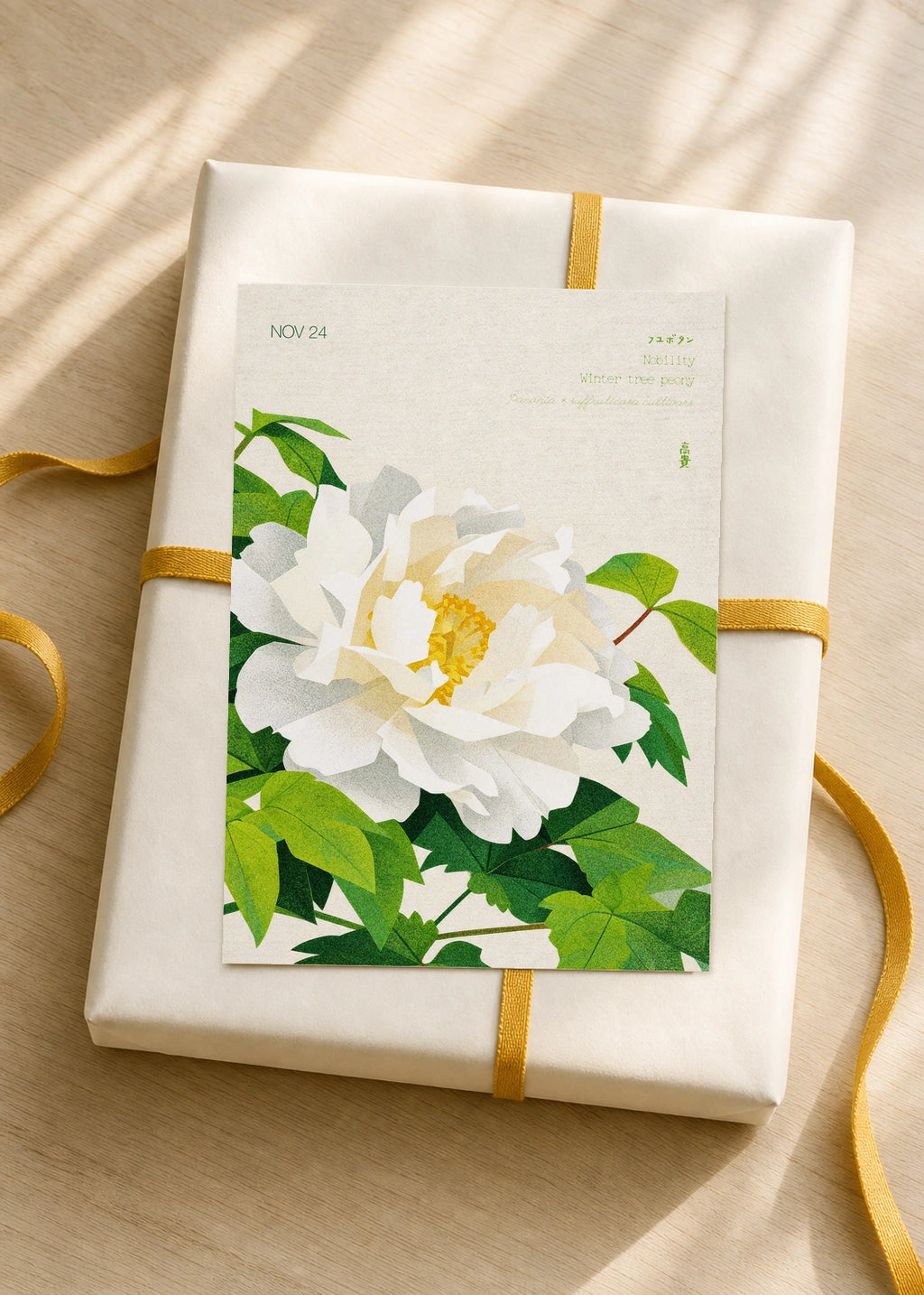 November 24 Winter Tree Peony birth flower card — gift