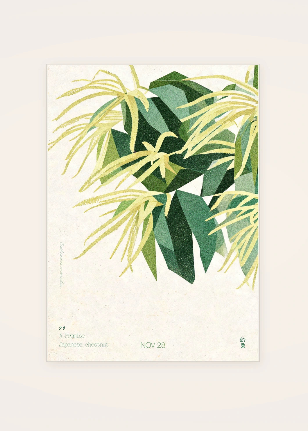November 28 Japanese Chestnut birth flower card — clean