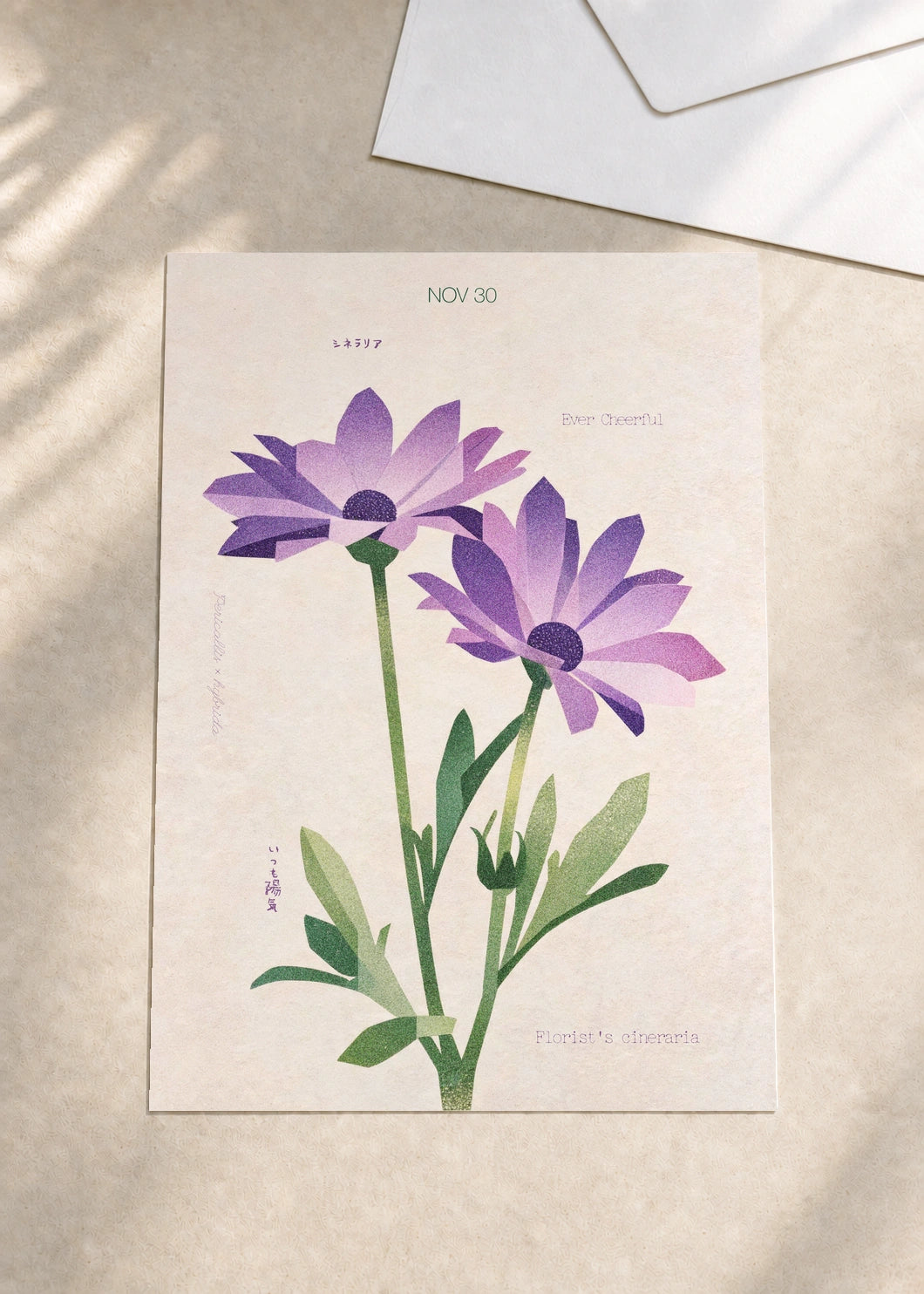 November 30 Florist's Cineraria birth flower card — envelope