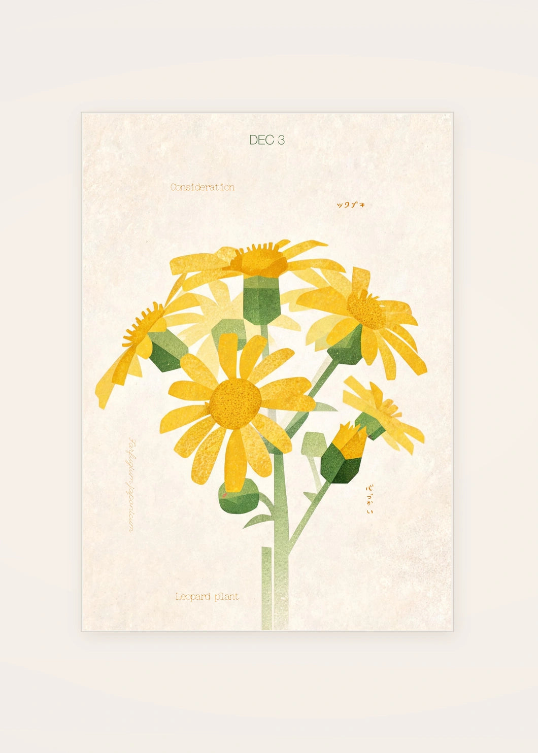 December 3 Leopard Plant birth flower card — clean