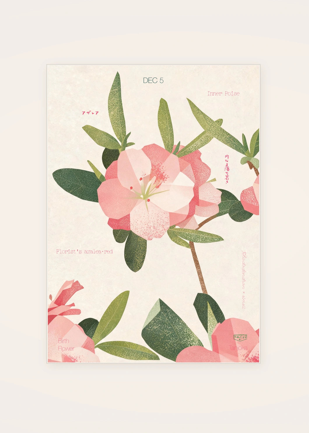 December 5 Florist's Azalea (Red) birth flower card — clean