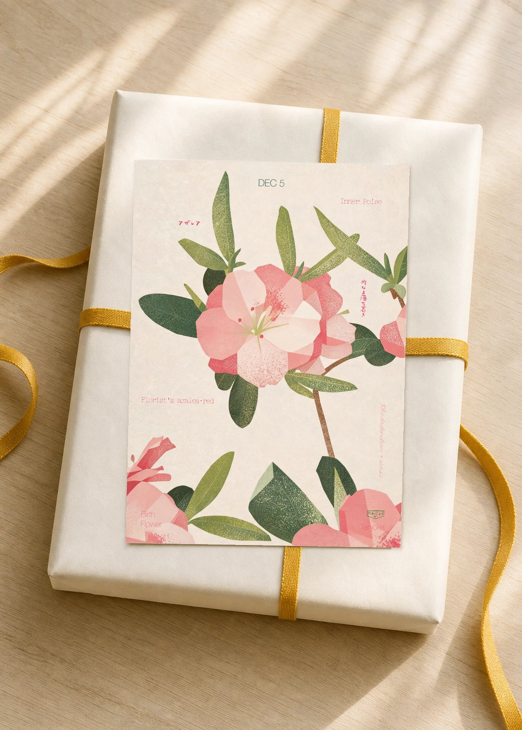 December 5 Florist's Azalea (Red) birth flower card — gift