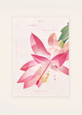 December 8 Thanksgiving Cactus birth flower card — clean
