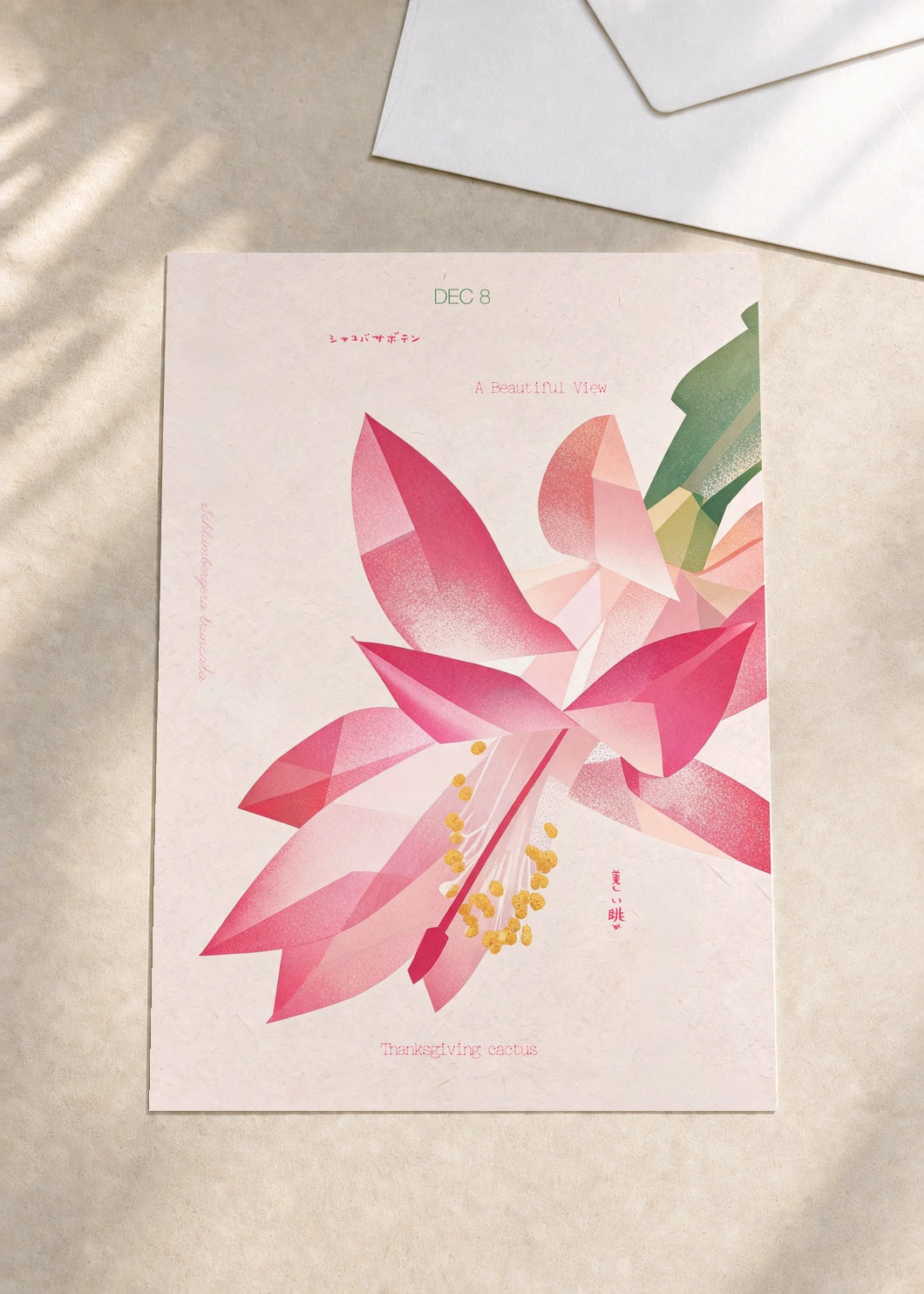 December 8 Thanksgiving Cactus birth flower card — envelope