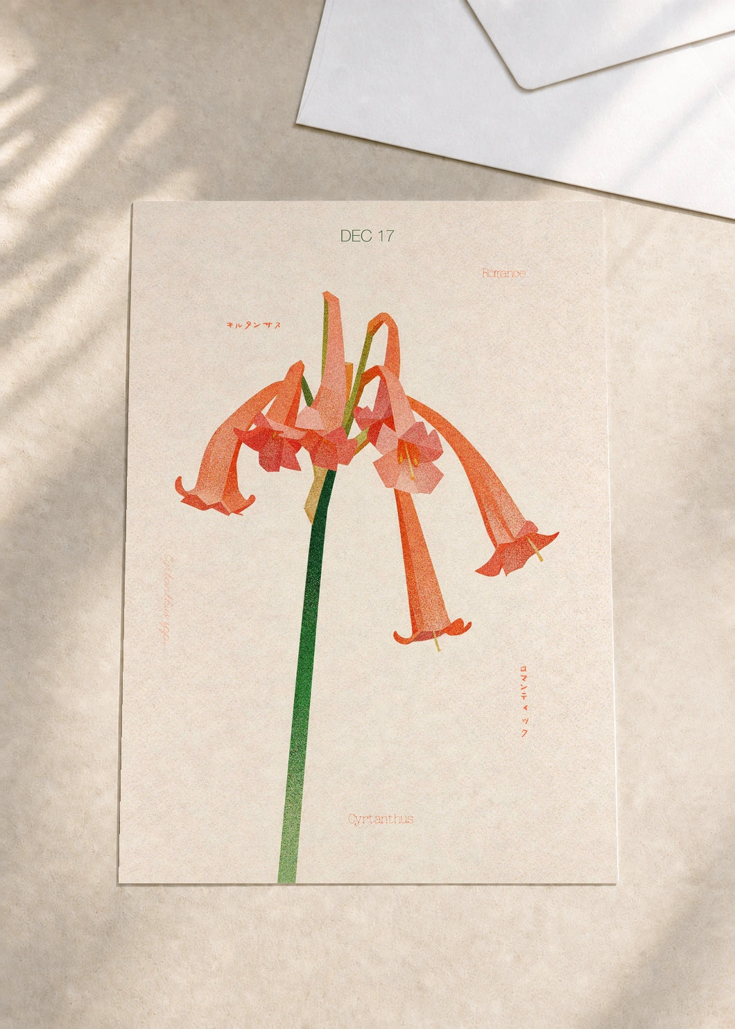 December 17 Cyrtanthus birth flower card — envelope