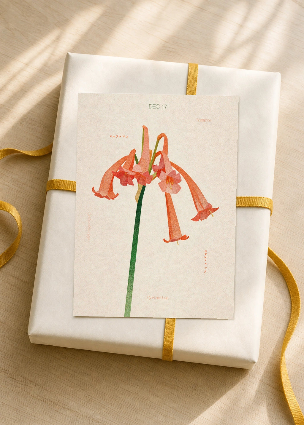 December 17 Cyrtanthus birth flower card — gift