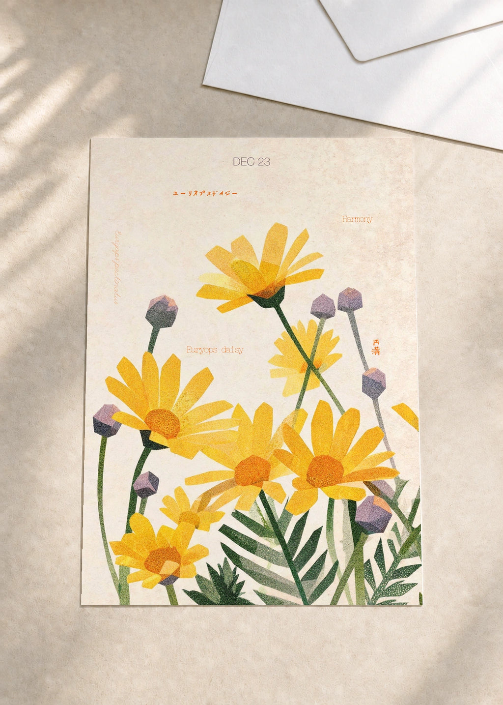 December 23 Euryops Daisy birth flower card — envelope