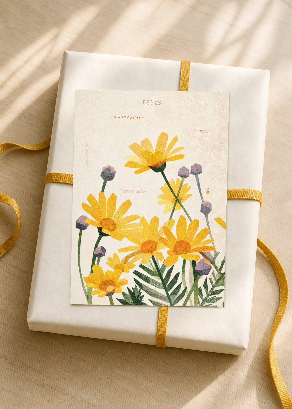 December 23 Euryops Daisy birth flower card — gift