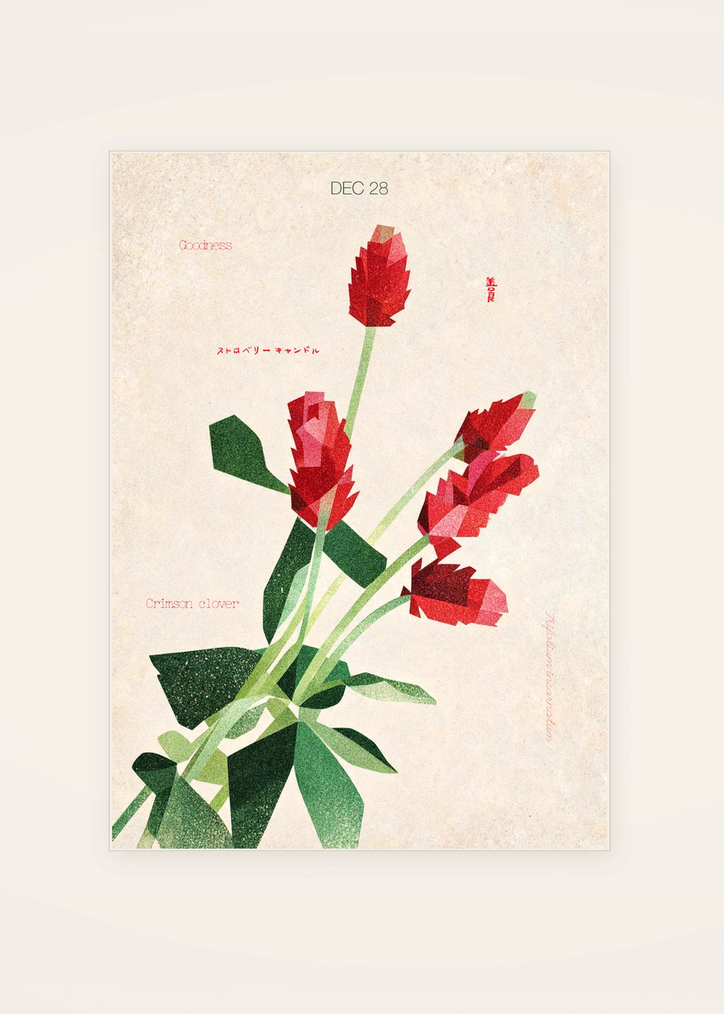 December 28 Crimson Clover birth flower card — clean