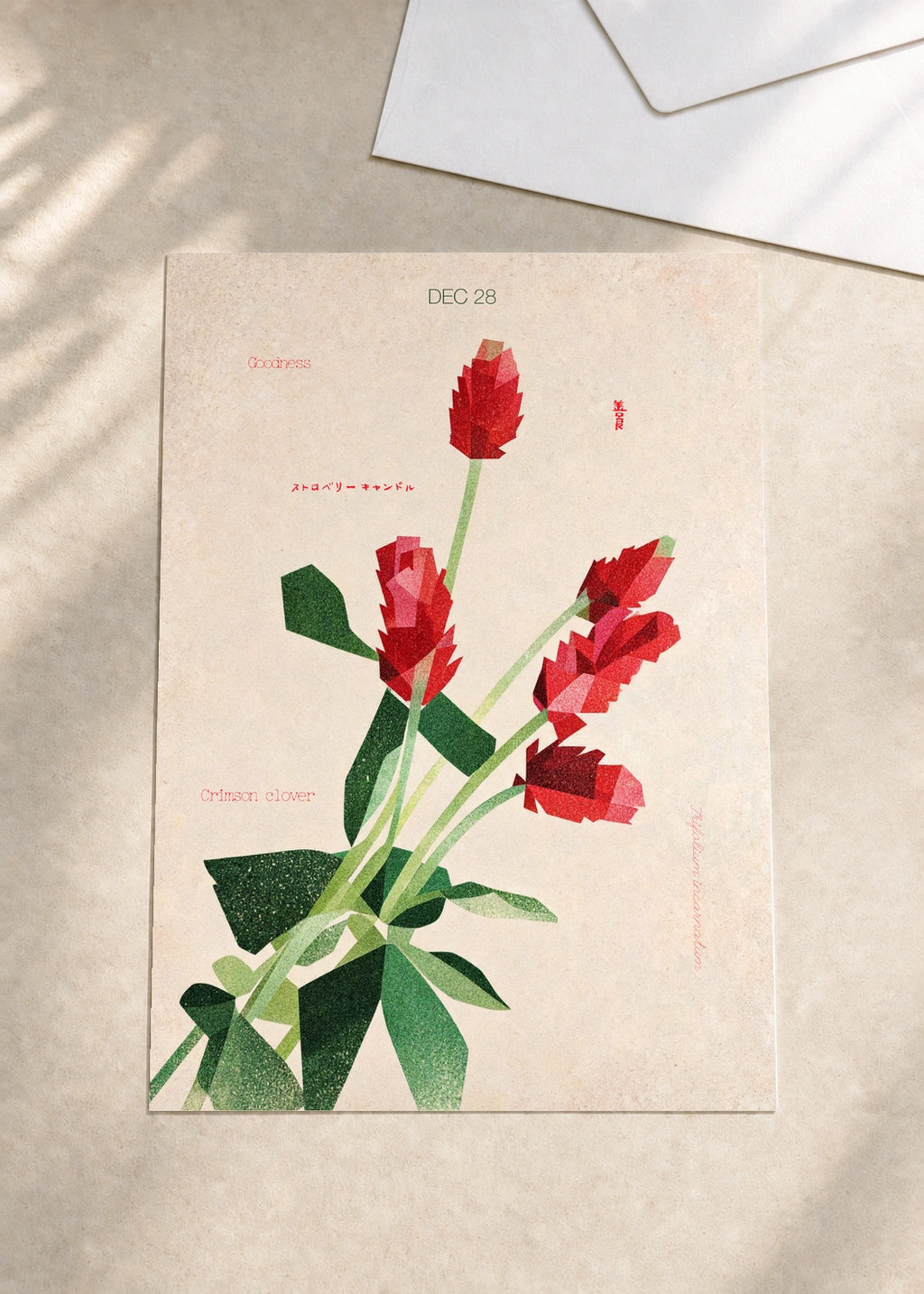 December 28 Crimson Clover birth flower card — envelope