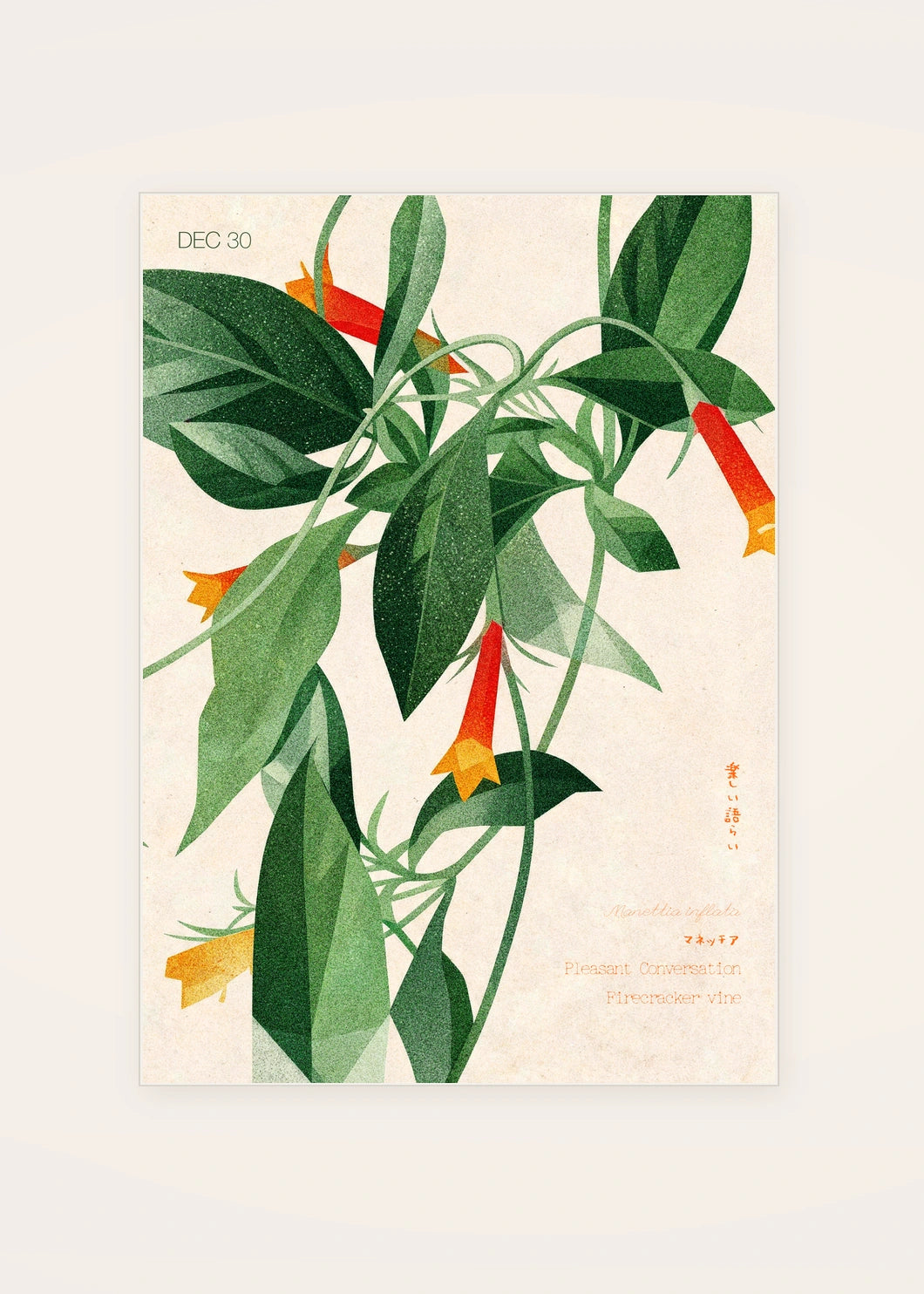 December 30 Firecracker Vine birth flower card — clean
