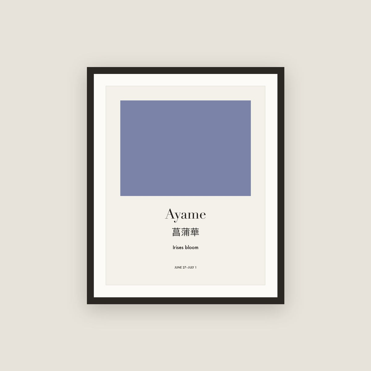 Ayame · Irises bloom Framed Print