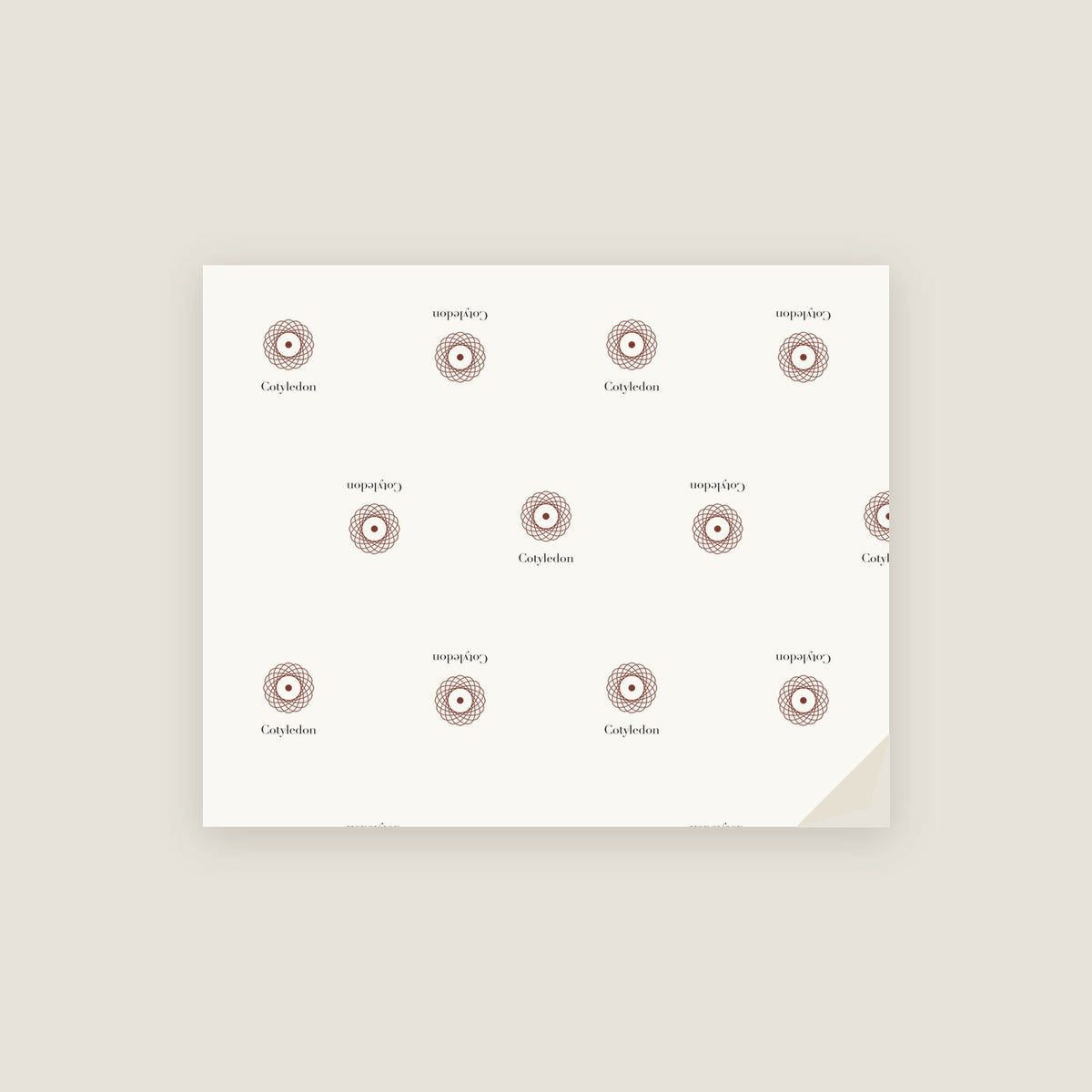 Cotyledon · January 10 Birth Flower Wrapping Paper