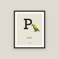P · Parrot Framed Print