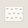Hudson · 哈德森 Name Wrapping Paper